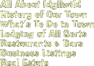  All About Idyllwild